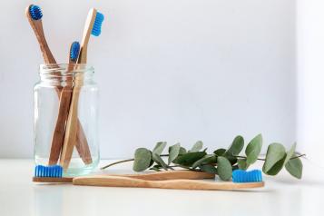 toothbrushes in a jar